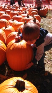 IMG_20151011_122921_665[1]