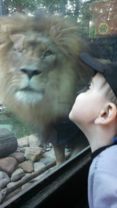 IMG_20151018_171519_069[1]