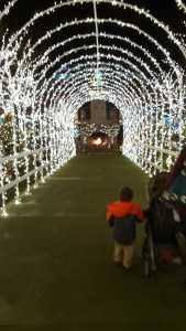 IMG_20151208_185636_905[1]