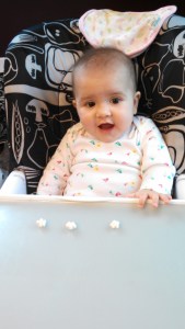 IMG_20151227_120637_834[1]