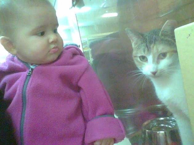 IMG_20160205_183923_405[1]