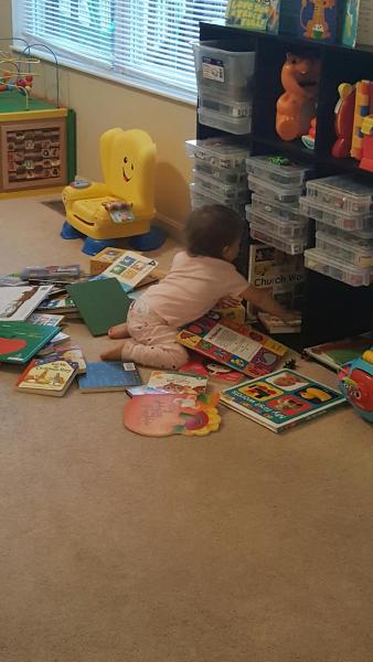 resized_20160929_075920