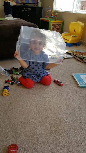 resized_20161012_1327411