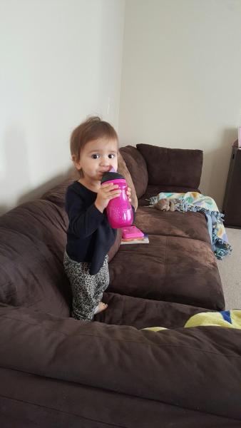 resized_20161109_162631