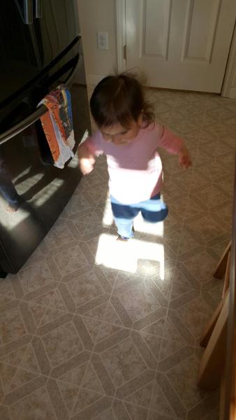 resized952017010795123113