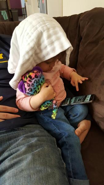 resized9520170204951131331