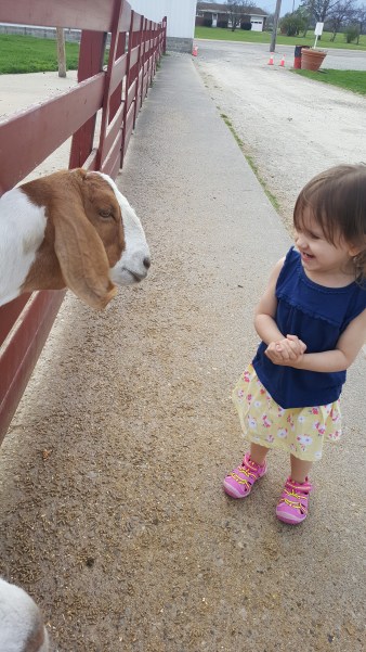 20170410_190219(2)[1]